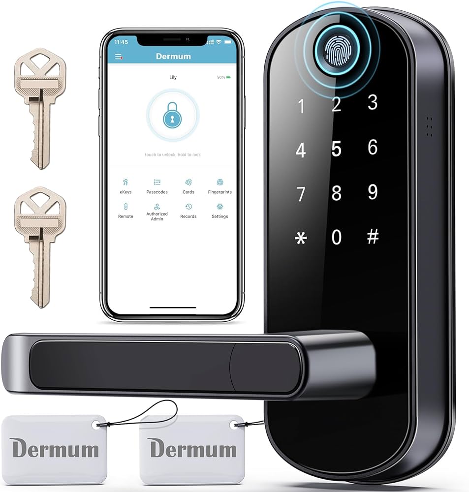 What Is the Difference Between Smart Lock and Normal Lock?